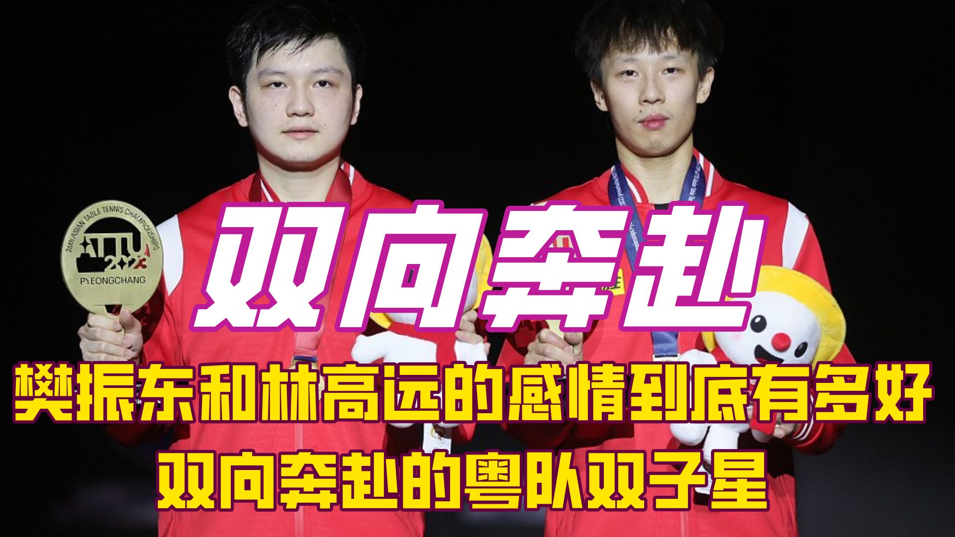 樊振东好兄弟拒绝德乙！和全运会乒超冲突，需保障国乒地方队利益