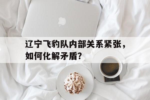 关于辽宁飞豹队内部关系紧张，如何化解矛盾？的信息